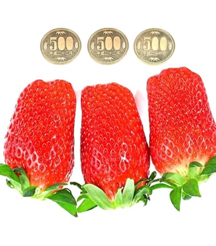Amazon.co.jp: Amaou Strawberry High Quality Strawberry from